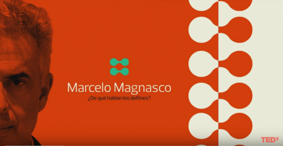 captura-de-pantalla-2016-12-20-a-las-1-46-14-p-m